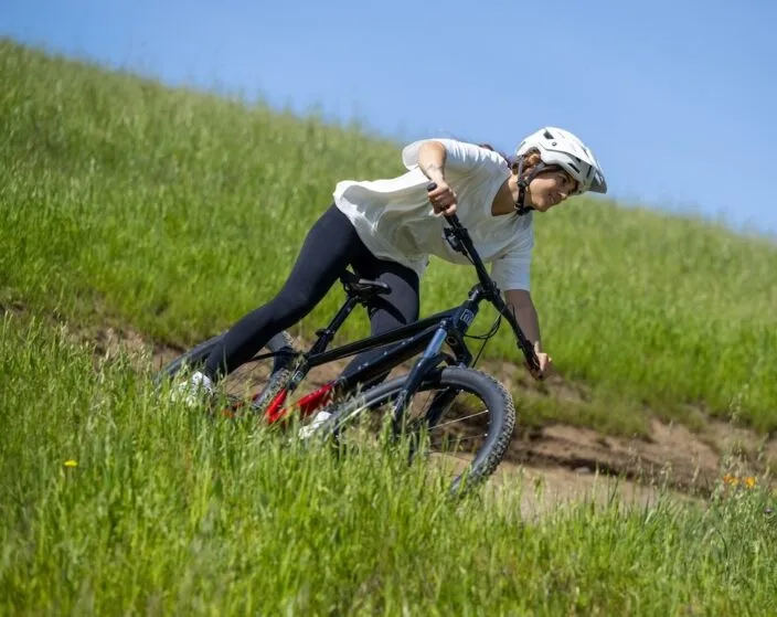 Marin Wildcat 3