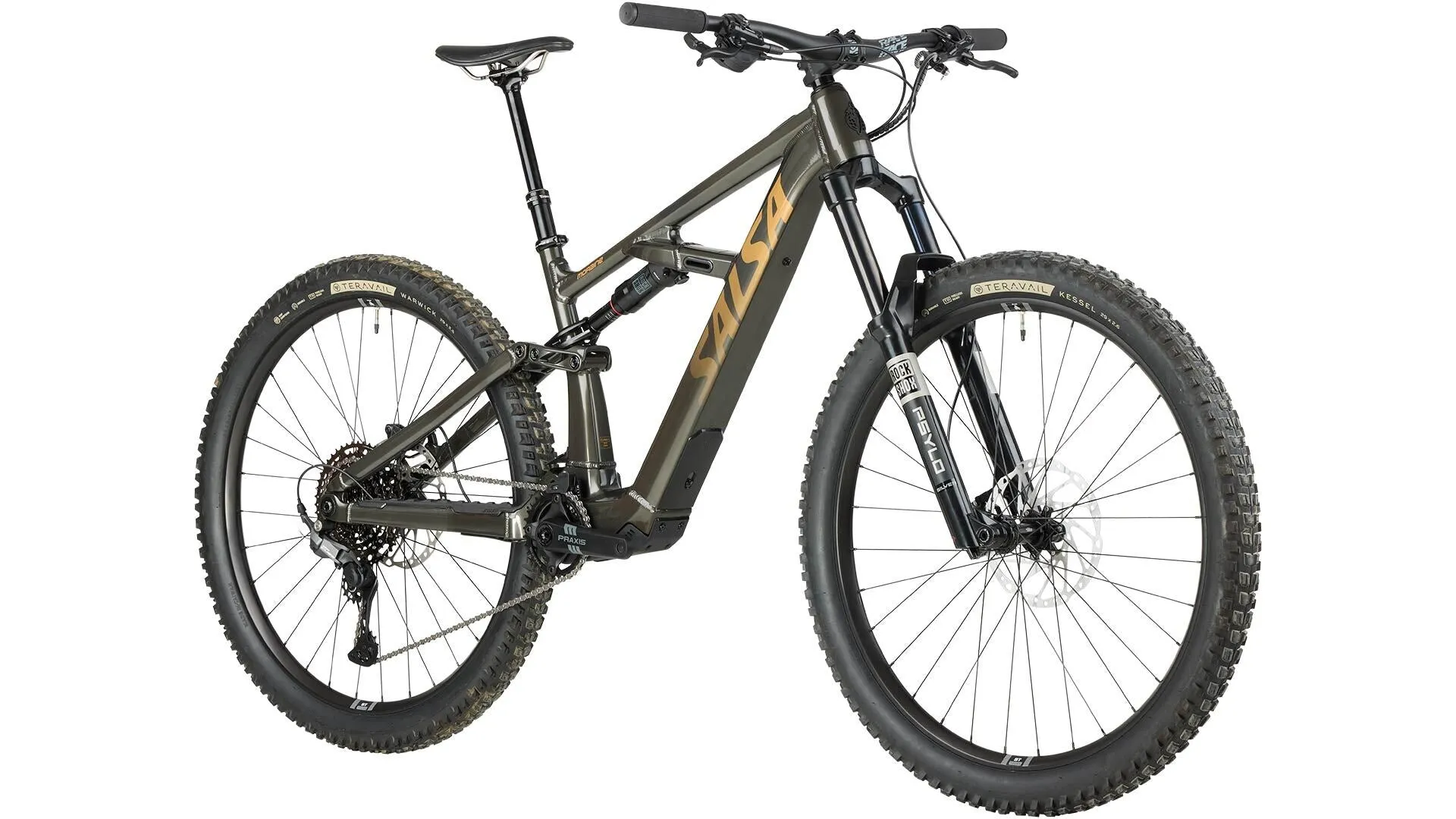 Salsa Cycles Moraine Cues 10
